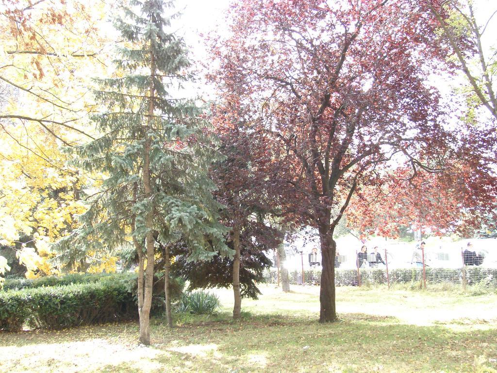 Central City Ap Sibiu Bagian luar foto